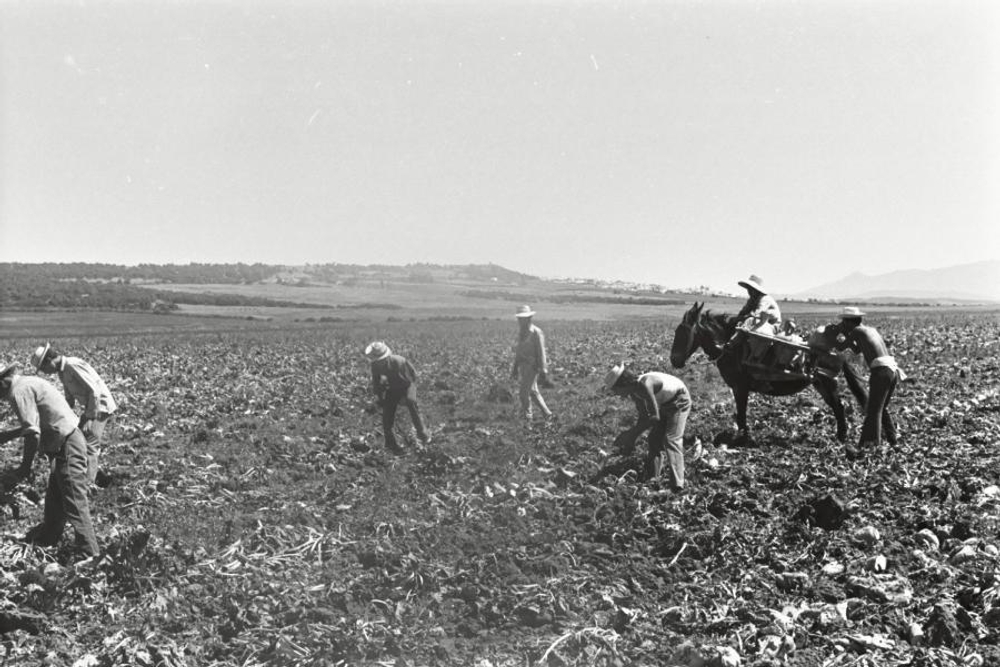 img of Reforma agraria y Status Quo