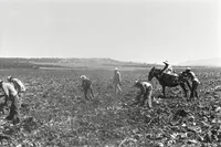 img of Reforma agraria y Status Quo