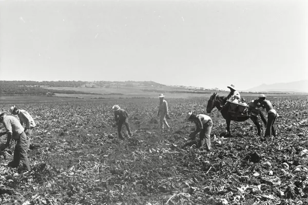 img of Reforma agraria y Status Quo